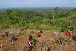 Telkom Dukung Pemulihan 82,1 Ha Lahan Kritis dengan Penanaman 33.800 Bibit Pohon