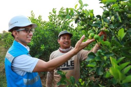 Listrik PLN Masuk Sawah, Petani Nganjuk Hemat Biaya Operasional Hingga 81 Persen