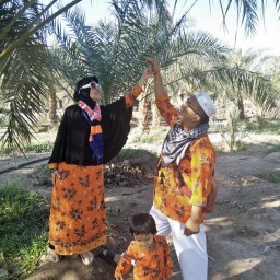 Wisata Belanja Kebun Kurma Madinah, Destinasi Wajib Jamaah Haji dan Umrah Indonesia, Bebas Incip-incip