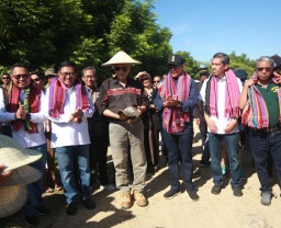 Presiden Timor Leste Buka Panen Raya Padi Bersama Petrokimia Gresik dan Pupuk Indonesia