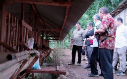 PLN EPI Inisiasi Program Budidaya Ternak Kambing Perah di Gunung Kidul