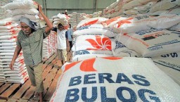 Stok Beras BULOG Awal Mei 2025 Tembus 3,6 Juta Ton