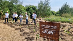 Acer Tanam 1.000 Bibit Mangrove di Wonorejo Surabaya