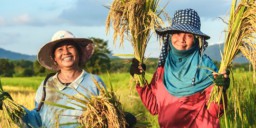 Perkuat Ketahanan Pangan, Bapanas Usulkan Anggaran Rp 16,10 Triliun
