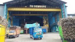 SGN PG Semboro Targetkan Giling Tebu 793 Ribu Ton