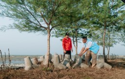PLN Peduli Sukses Ubah Wajah dan Cegah Abrasi Pantai Plentong