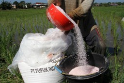 Penyaluran Pupuk Bersubsidi Ternyata Baru Terserap 29 Persen