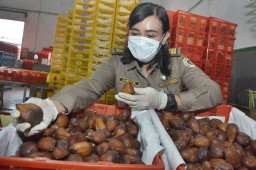 Warga Vietnam Doyan Salak Bali, Perkilonya Rp 157 Ribu