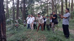 Perhutani Probolinggo Dukung Percepatan Proyek Tol Probowangi