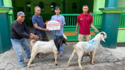 Semangat Berbagi di hari Raya Idul Adha, MPM Honda Jatim Salurkan Hewan Kurban Untuk Warga Sekitar
