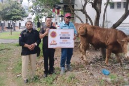 Sambut Idul Adha, PT Smelting Salurkan 6 Sapi Kurban ke Masyarakat