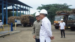 15 PG Sudah Giling, SGN Siap Penuhi Kebutuhan Gula Konsumsi
