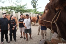 Jelang Idul Adha, Bupati Kediri Borong Hewan Kurban