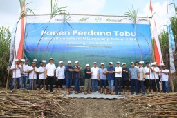 Kejar Target 8 Ton Perhektar, Ini Strategi PTPN I Regional 4