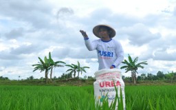 Aplikasi I-Pubers Mudahkan Petani Dapatkan Pupuk Subsidi