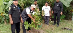 Bulog Tanam 570 Pohon di DAS Brantas di Kota Mojokerto