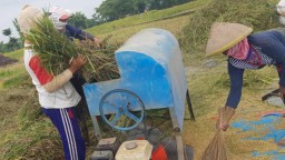 Petani Magetan Gembira Harga Gabah Naik