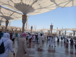 Jamaah Haji Diingatkan Tidak Berfoto Pakai Bendera dan Simbol di Masjid Nabawi