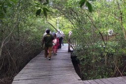 Hingga Juni, Kebun Raya Mangrove Dikunjungi 43 Ribu Wisatawan