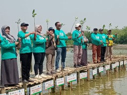 Cargill Resmikan Arboretum Mangrove dan Tanam 16.000 Bibit Mangrove di Kalimireng Gresik