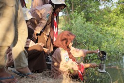Karyawan Smelter Freeport dan Warga Manyar Tanam Mangrove