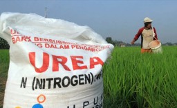 Pupuk Indonesia Gelontor 6,6 Juta Ton Pupuk Subsidi Jelang Musim Tanam