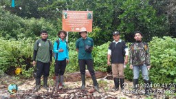 Cagar Alam Pulau Sempu Jadi Tempat Pelepasliaran Lutung