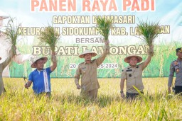 Bupati Yes Panen Raya Padi Bersama Petani Sidokumpul Lamongan