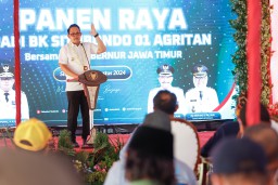 Pj Gubernur Jatim Panen Raya Padi Varietas BK 01 Agritan di Situbondo