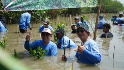 PT Smelting Ajak Mahasiswa dan Masyarakat Tanam 1.000 Bibit Mangrove
