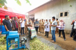 Peternak Banyuwangi Dilatih Bikin Pakan Ternak Fermentasi