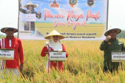 Bupati Mojokerto Ajak Petani Manfaatkan Urine Kelinci Sebagai pupuk Organik