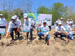 SKK Migas dan KKKS Jabanusa Ajak 43 Pemred Tanam Mangrove di Pantai Kulunprogo DIY