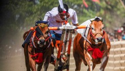 Pj. Sekdaprov Jatim Buka Grand Final Karapan Sapi Piala Presiden 2024