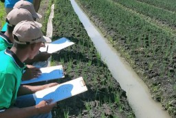 Dinas Pertanian Ngawi Ajari Petani dan UMKM Pengemasan Pasca Panen