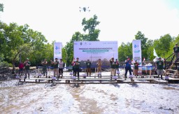 Pelindo Terminal Petikemas Rehabilitasi 25 Hektar Kawasan Mangrove di Sulawesi Tenggara