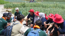 PG Ajak Karyawan Milenial Edukasi Petani Bawang Tawangmangu