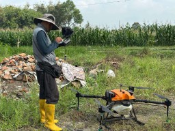 Petani Jember Gunakan Drone Untuk Penyemprotan Tanaman Jagung