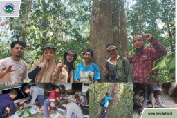 Taman Nasional Meru Betiri Kolaborasi dengan SINTAS dan BRIN untuk Monitoring Tumbuhan Langka