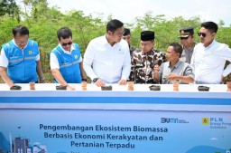 PLN Bersama Kementan Luncurkan Model Pertanian Terpadu