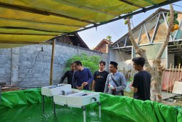 Mahasiswa Unmuh Jember Budidayakan Patin dengan Teknologi RAS