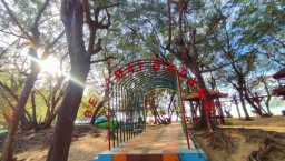 Memandang Cemara Udang di Wisata Pantai Lombang