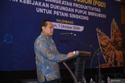 Pupuk Indonesia Sambut Usulan Singkong Jadi Komoditas Penerima Subsidi