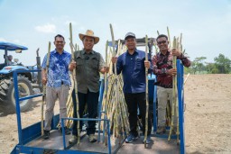 Hingga Oktober SGN Sudah Giling 11 Juta Ton Tebu