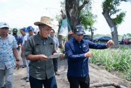 Dirjen Perkebunan Dukung Penguatan Tebu Rakyat Menuju Swasembada Gula Nasional