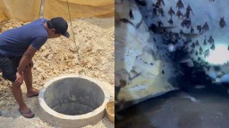 Pemkab Lamongan Turunkan Tim Teliti Penemuan Gua