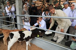 Pj. Gubernur Jatim Sebut Jadi Solusi untuk Maksimalkan Penyerapan Susu Peternak Lokal