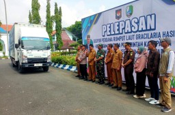 Ekspor Produk Halal Tahun Ini Tembus Rp 673,9 Triliun, Mayoritas Makanan Olahan