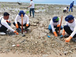 Peringati Hari Pahlawan, SKK Migas dan HCML Menanam Mangrove