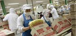 Indofood Catatkan Laba Rp 8,76 Triliun di Kuartal III-2024